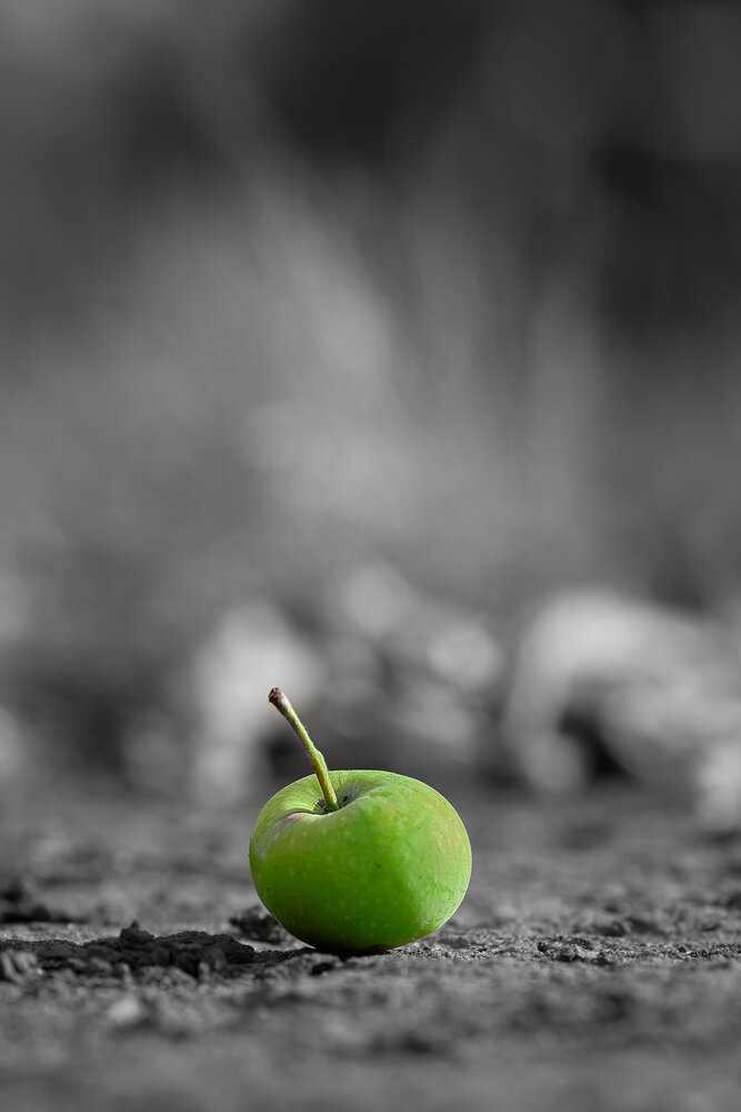 Photograph by Дмитрий Казачек