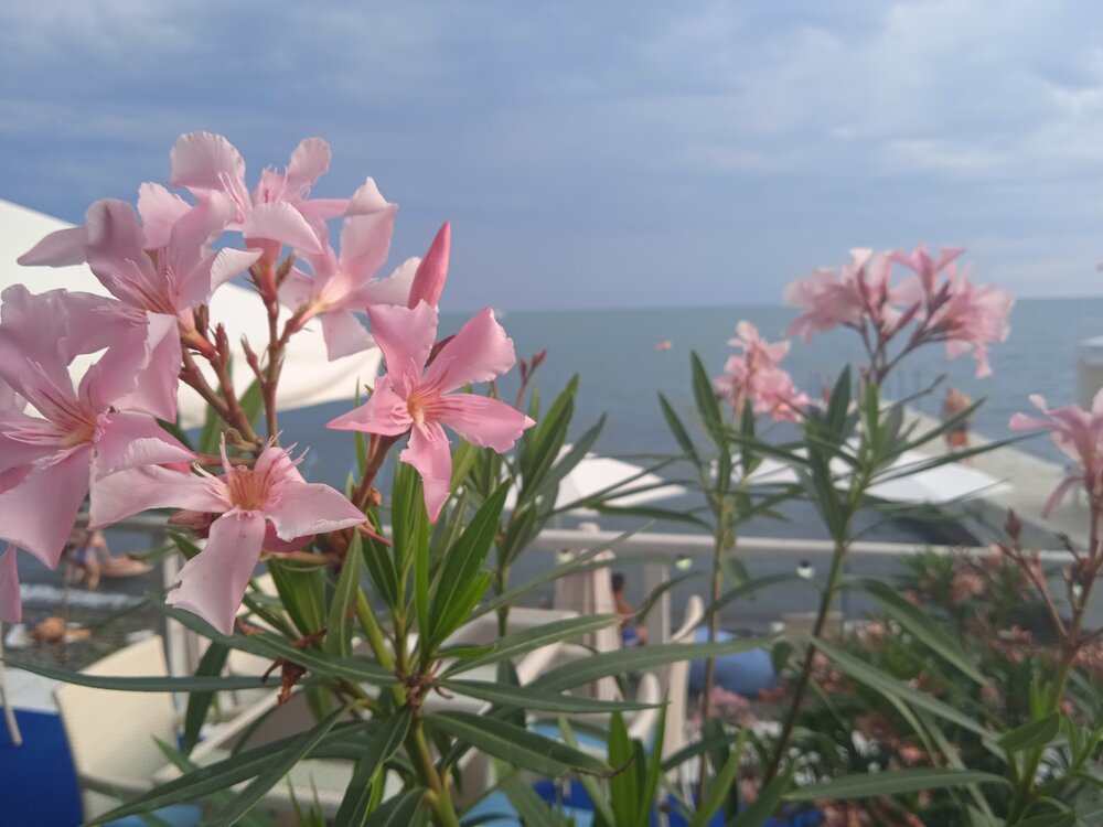 Photograph by Наталья Сорокина