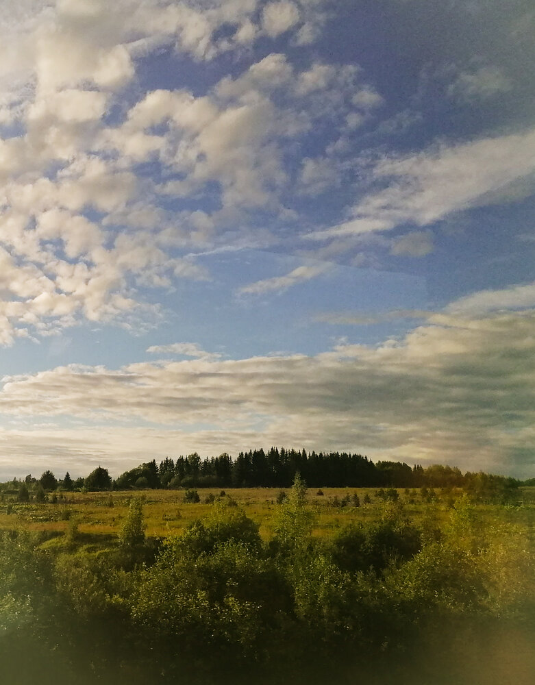 Photograph by Галина Пылаева