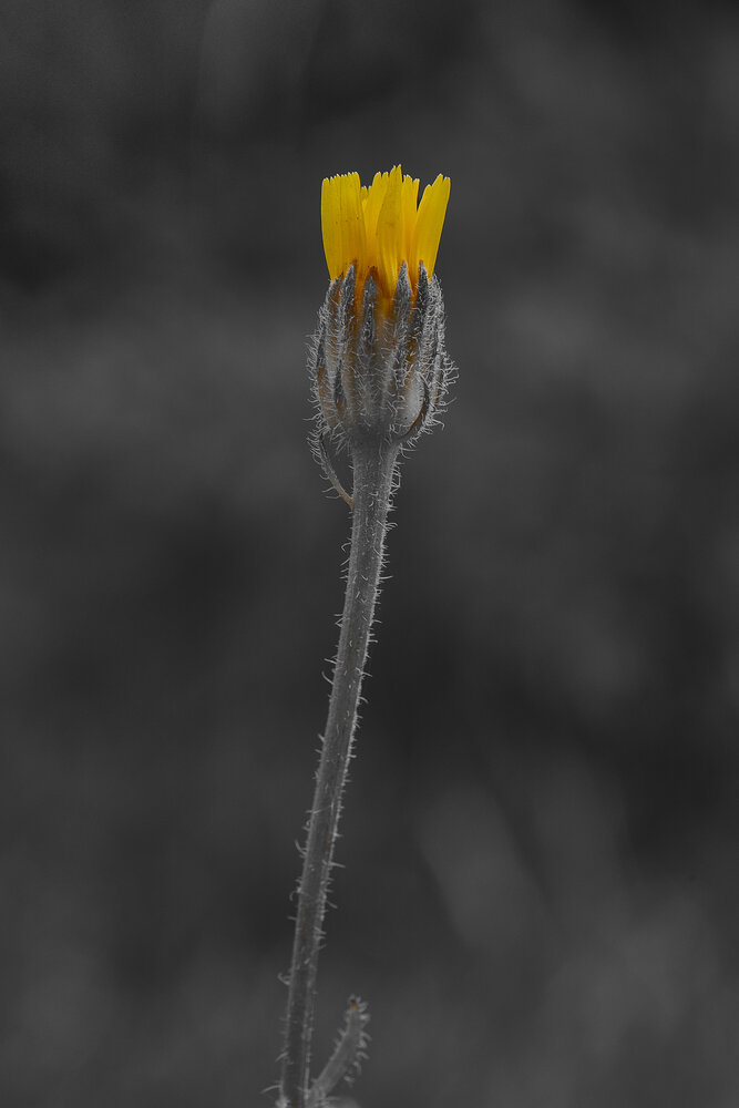 Photograph by Дмитрий Казачек