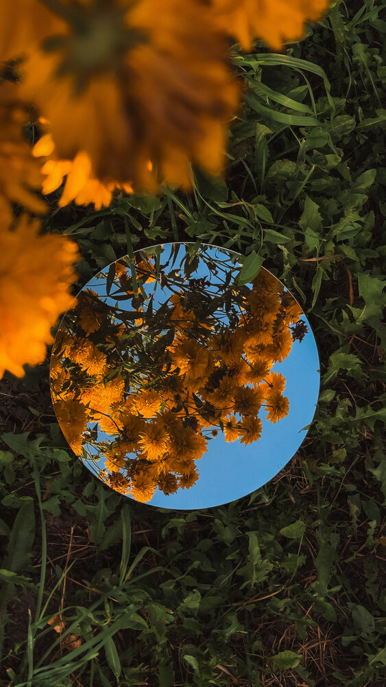 Photograph by Алеся Гурьянова