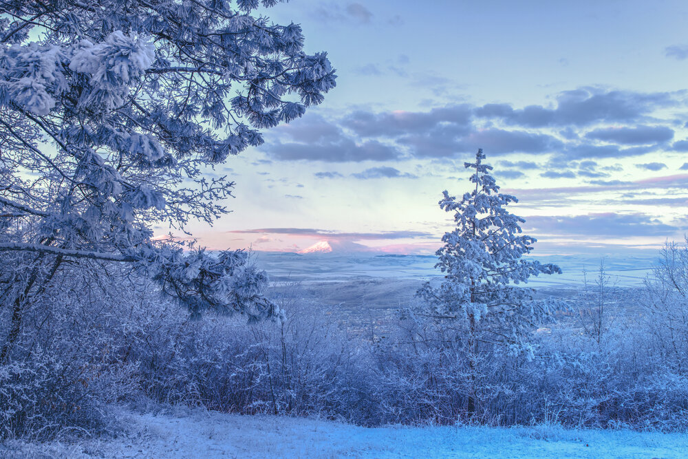 Photograph by Igor Maksimenko