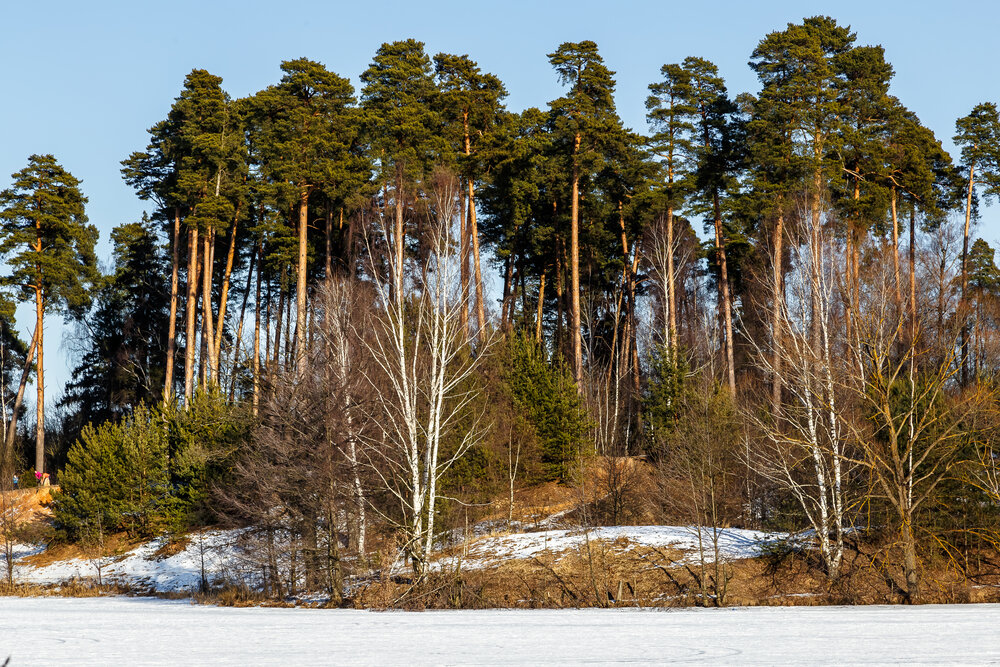 Photograph by Наталья Колеватова