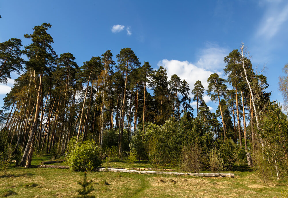 Photograph by Наталья Колеватова