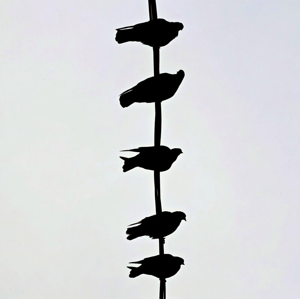 Photograph by Игорь Бахарев