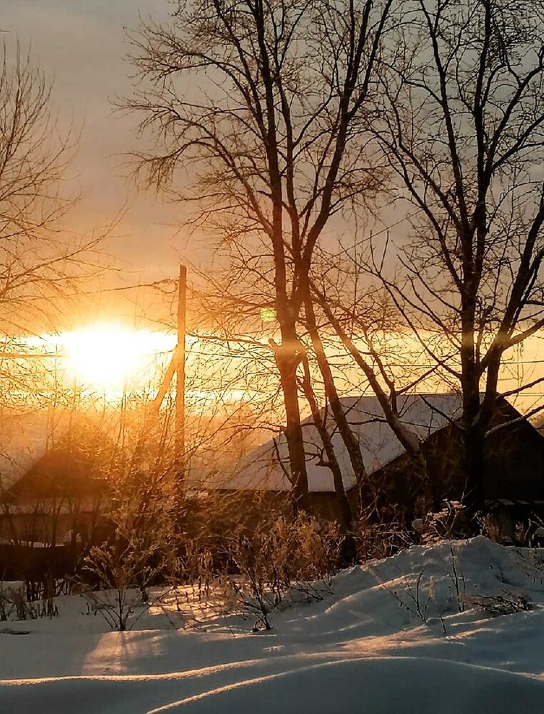 Photograph by Галина Пылаева