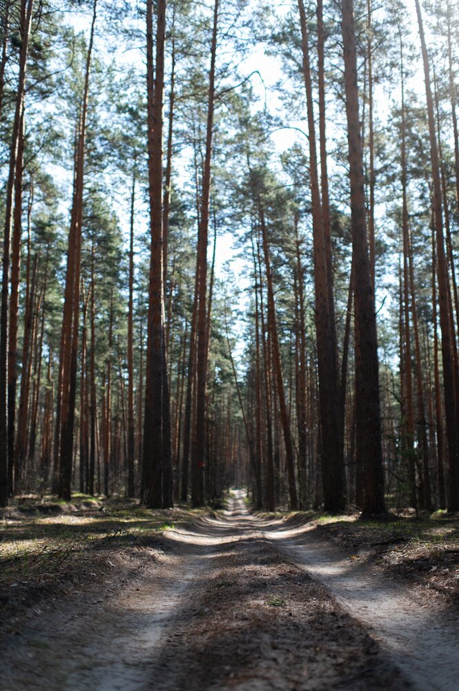 Photograph by Павел Соснин