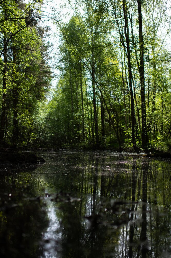 Photograph by Павел Соснин