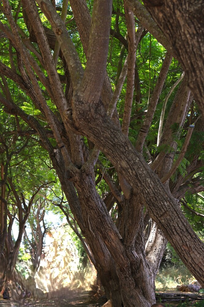 Photograph by Merav Zuberman Perkal