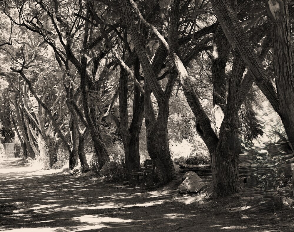 Photograph by Merav Zuberman Perkal