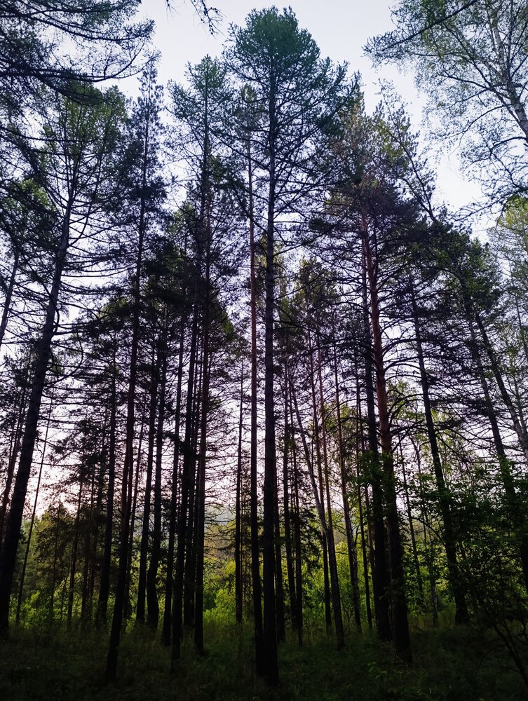 Photograph by Алена Марченко