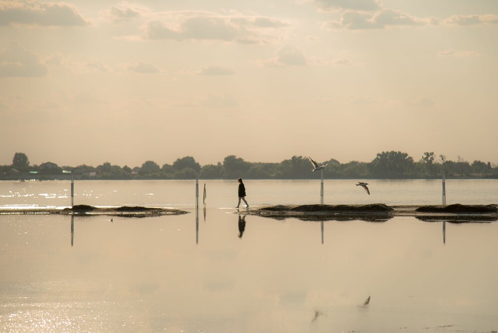 Photograph by Наталья Темная
