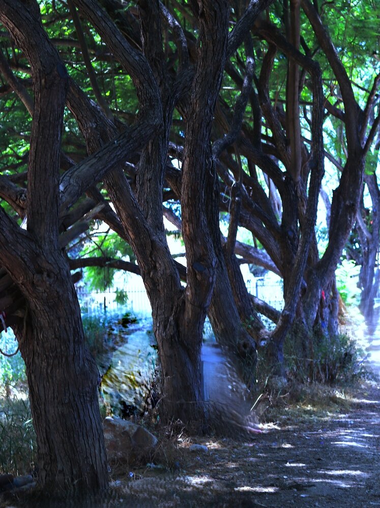 Photograph by Merav Zuberman Perkal