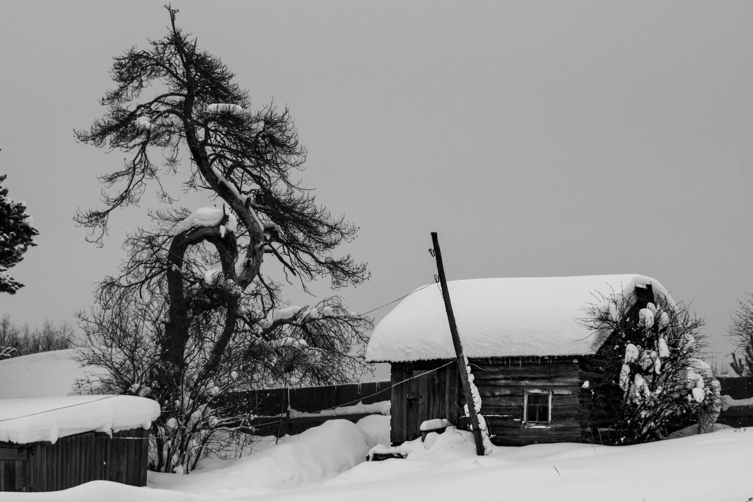 Photo #13903009