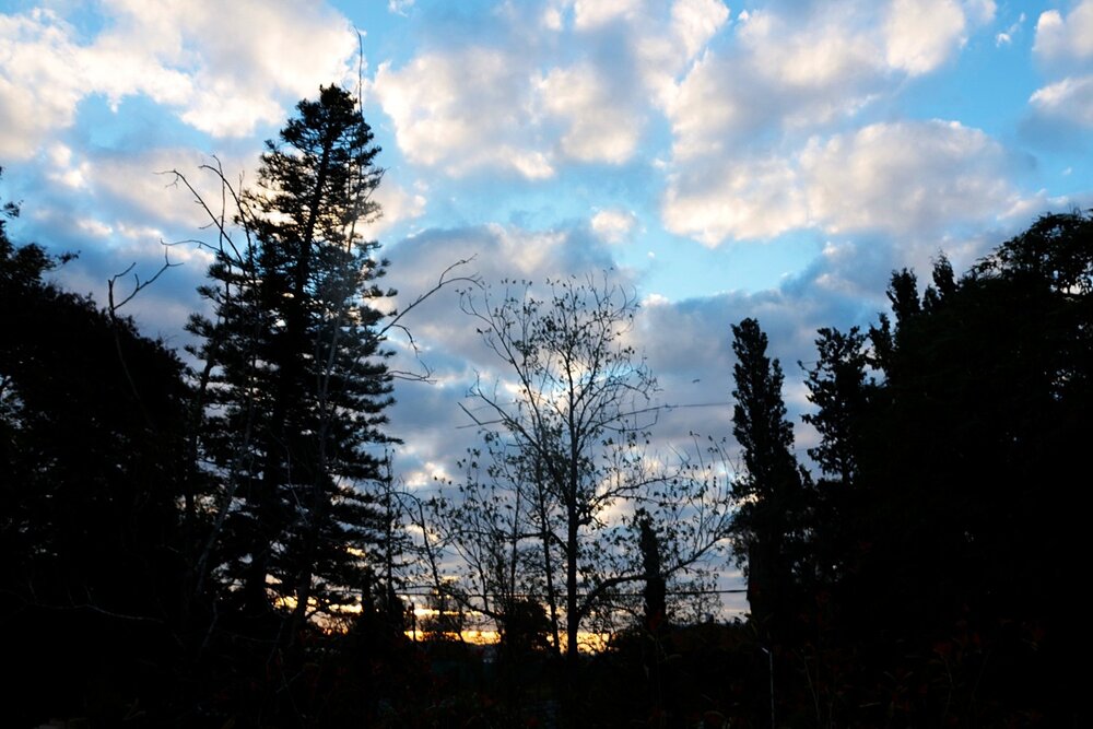 Photograph by Merav Zuberman Perkal