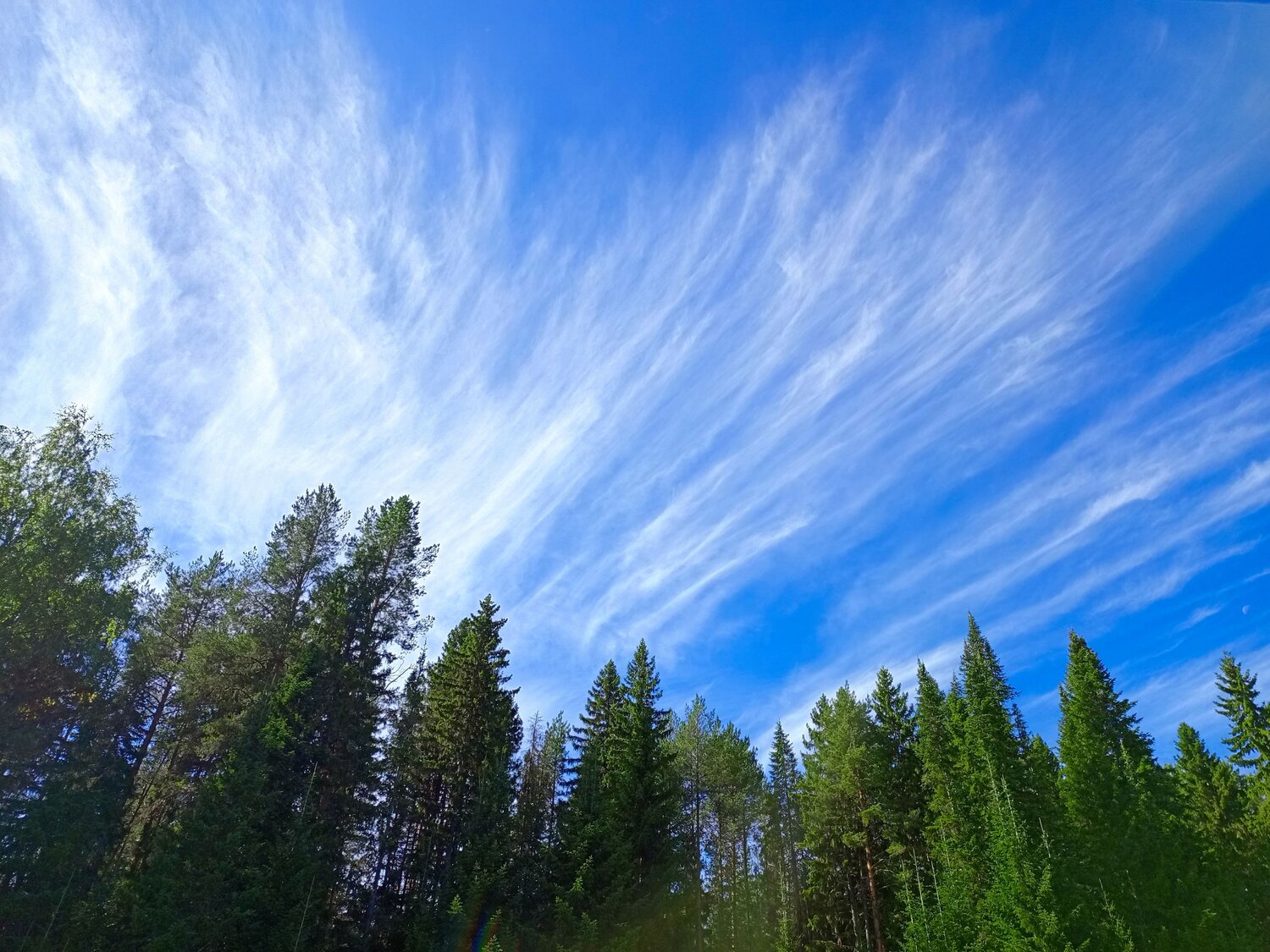 Photo #13903115
