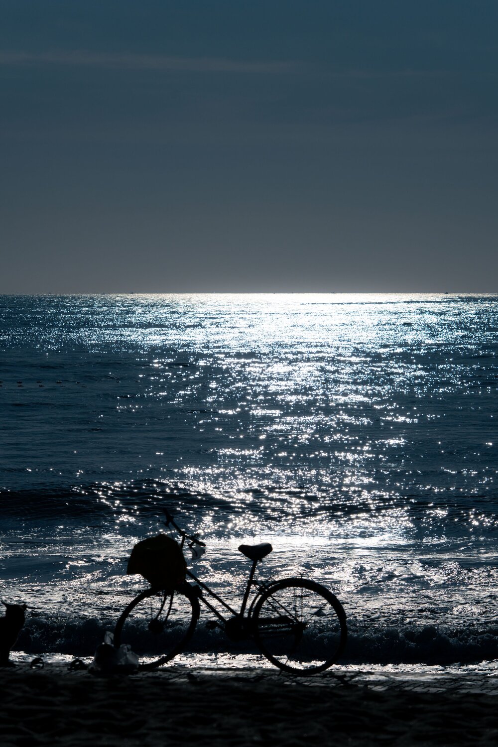 Photo #13903162