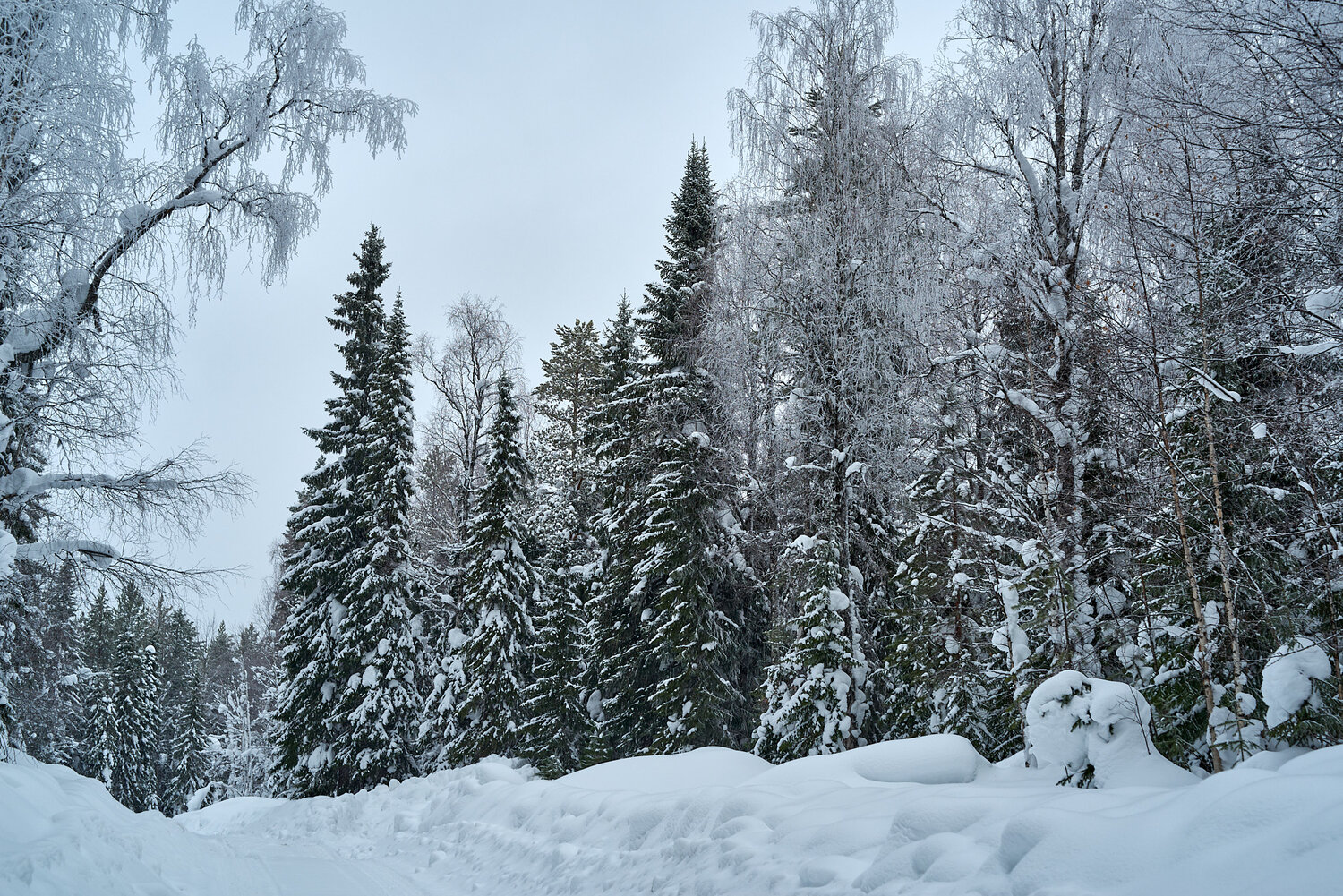 Photo #13903174