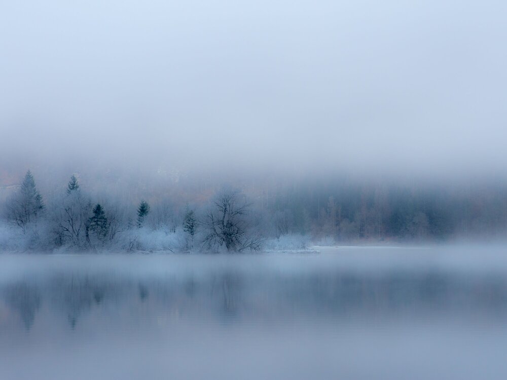 Фотография автора Gergely Janovszky