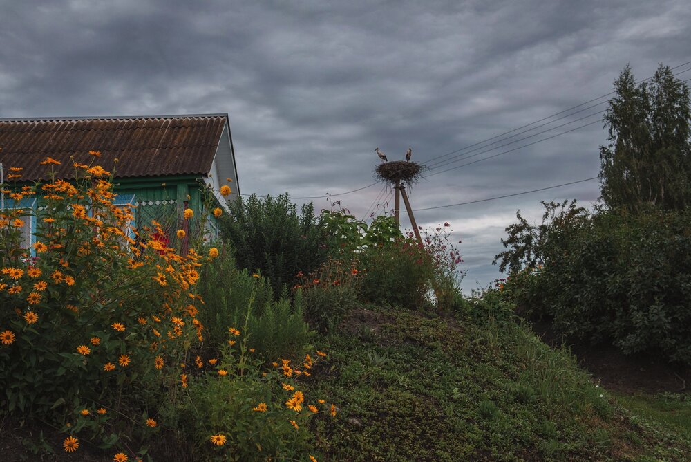 Photograph by Ляхова Ольга