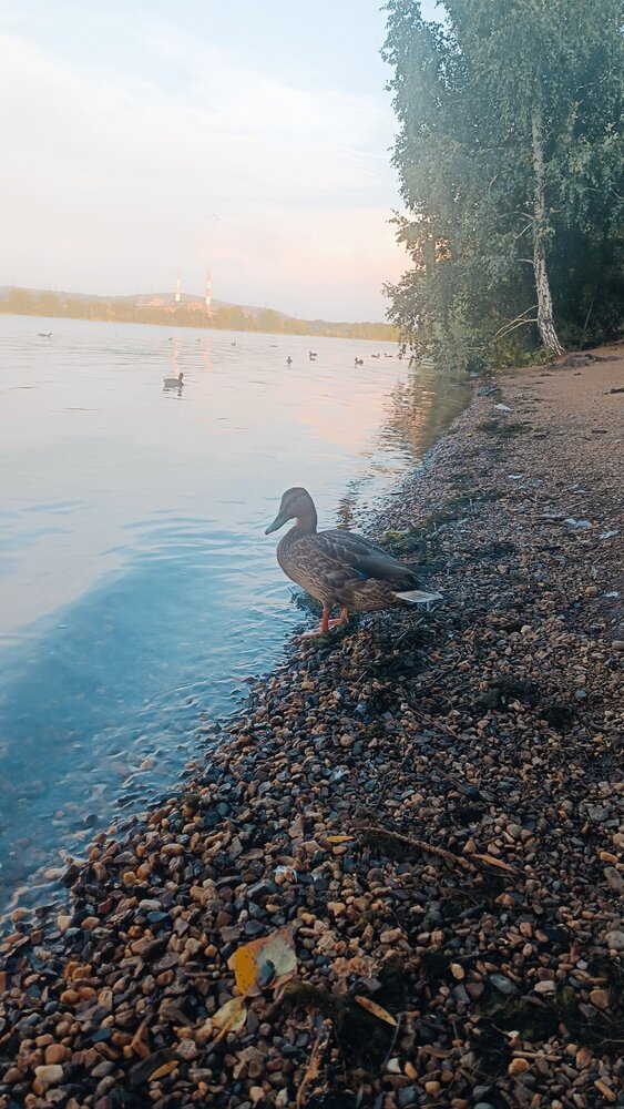Photograph by Елена Калинина