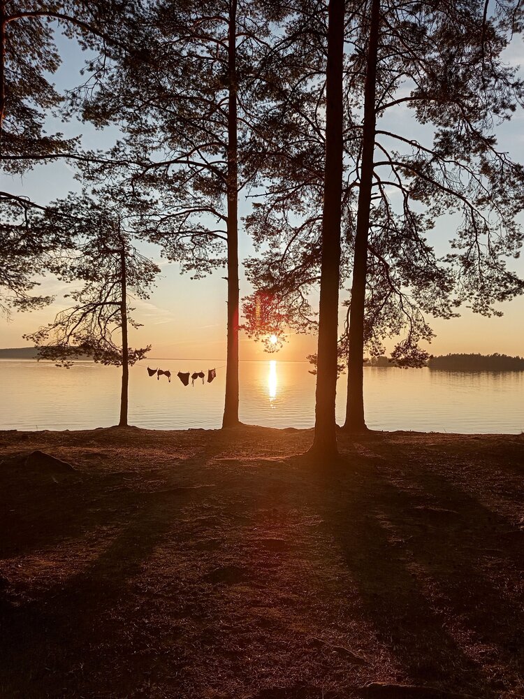 Фотография автора Елизавета Ермолина