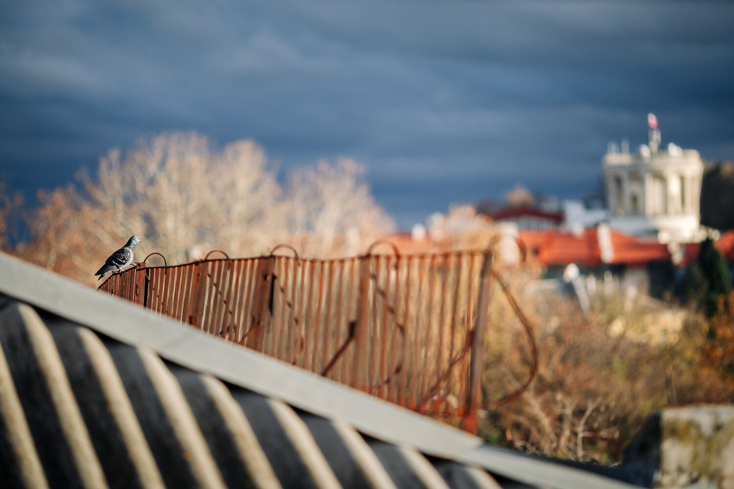 Photo #13903267