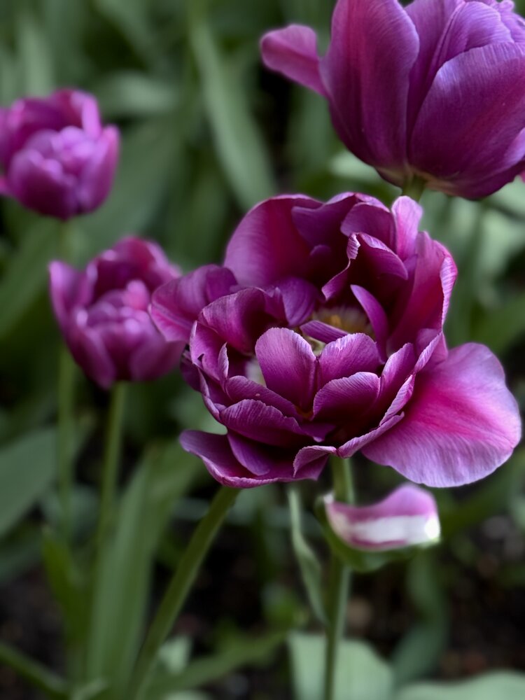 Photograph by Алена Кривцова