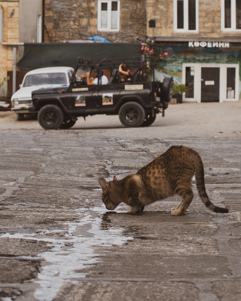 Photograph by Евгений Самарев