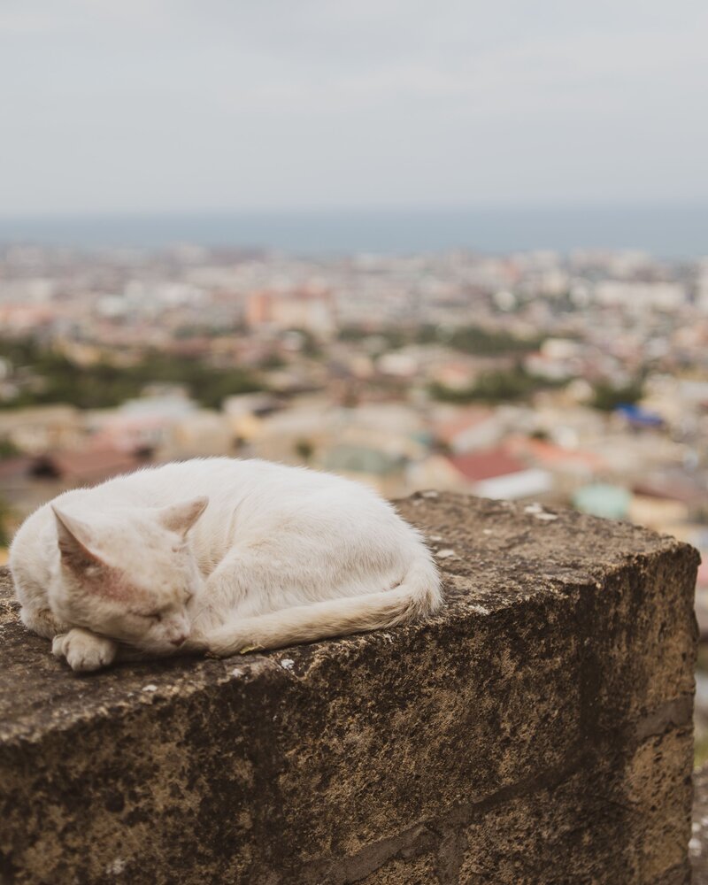Photograph by Евгений Самарев