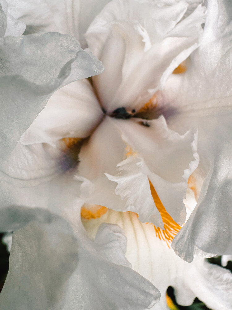 Photograph by Алёна Яцкевич