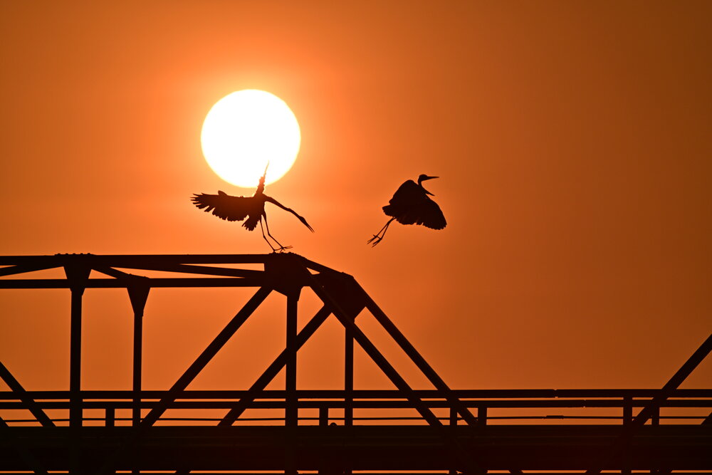 Photograph by H.OGAWA -RIN
