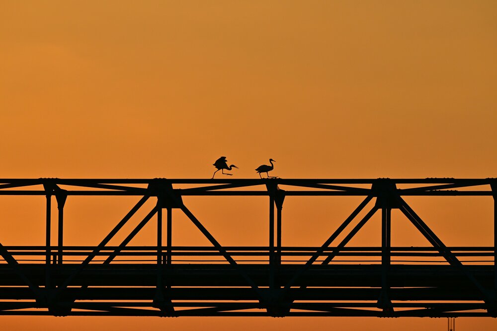 Photograph by H.OGAWA -RIN