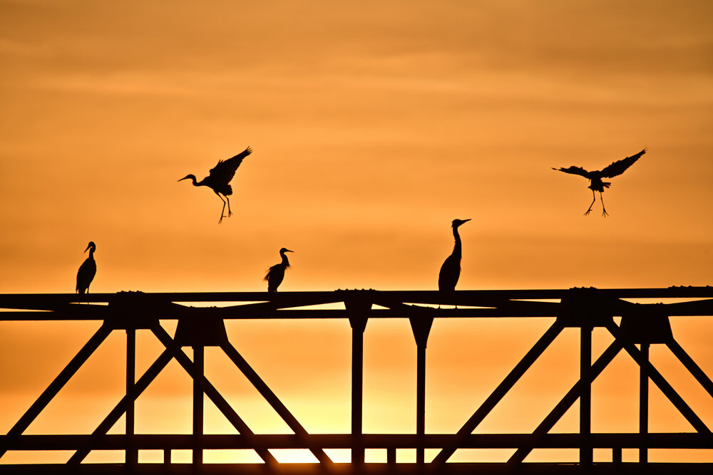 Photograph by H.OGAWA -RIN