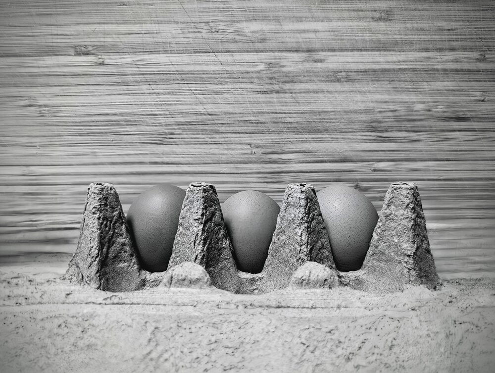 Фотография #13903427