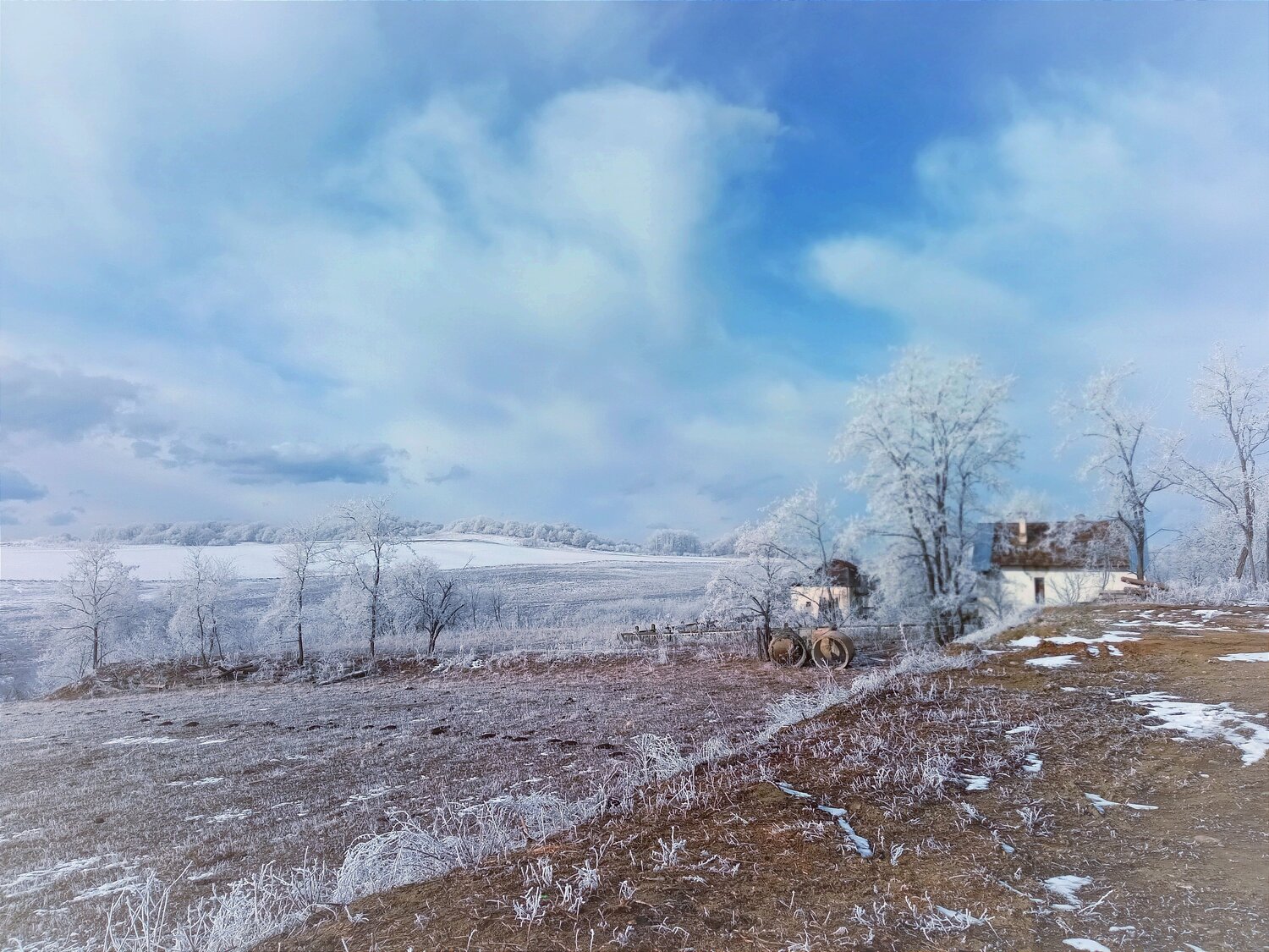 Photo #13903473