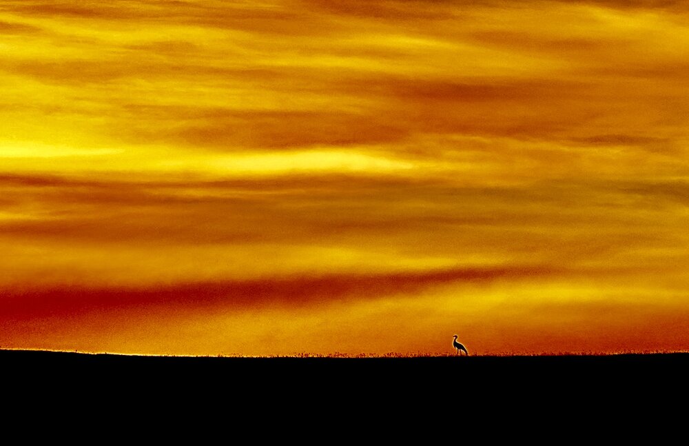 Photograph by Batsaikhan Badamdorj