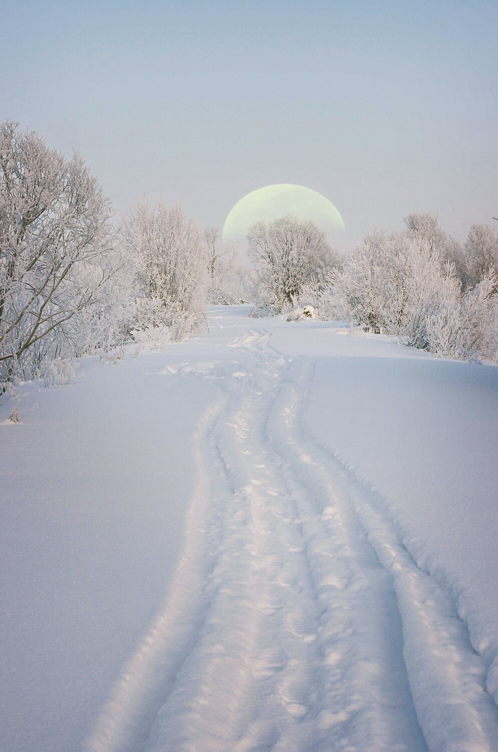 Photo #13903501