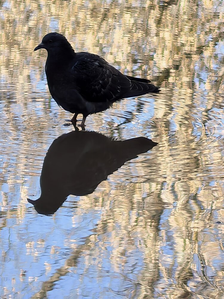 Photograph by Елена Охапкина