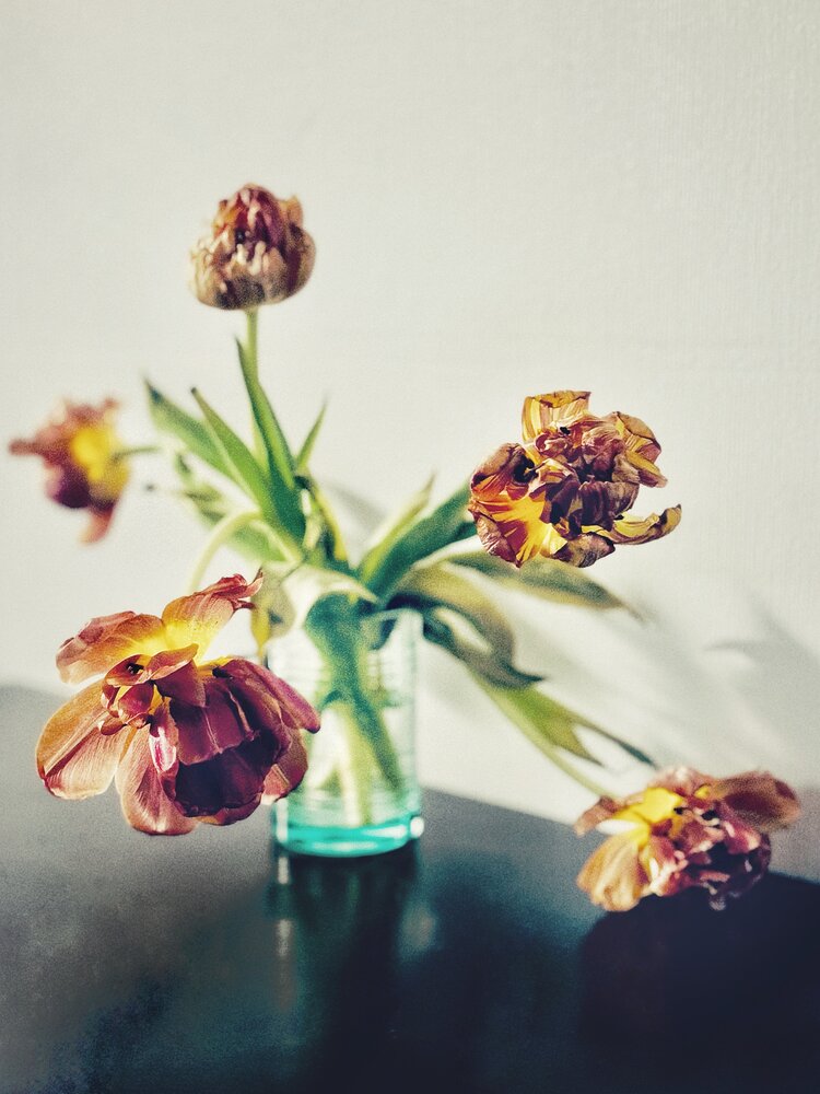 Photograph by Юлия Чернышёва