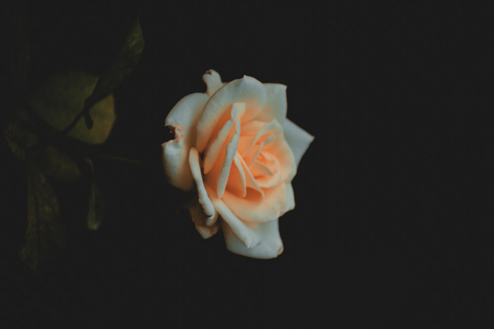 Photograph by Imran Rahman