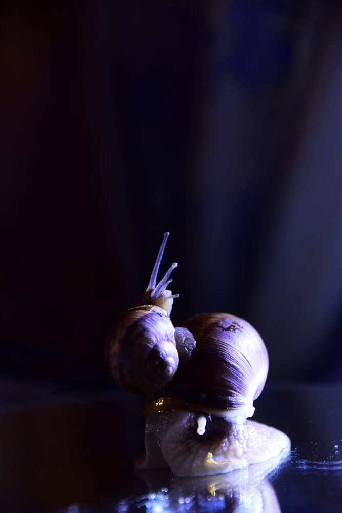 Photograph by Ольга Рыкова