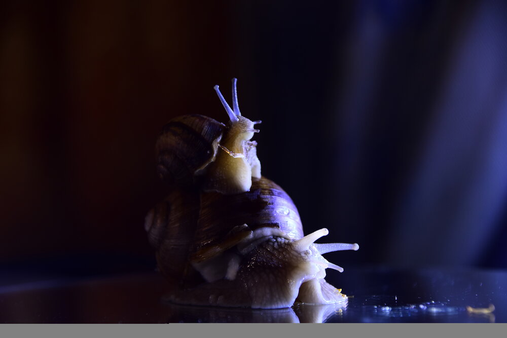 Photograph by Ольга Рыкова