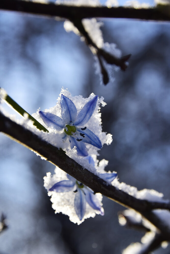 Photograph by Ольга Рыкова