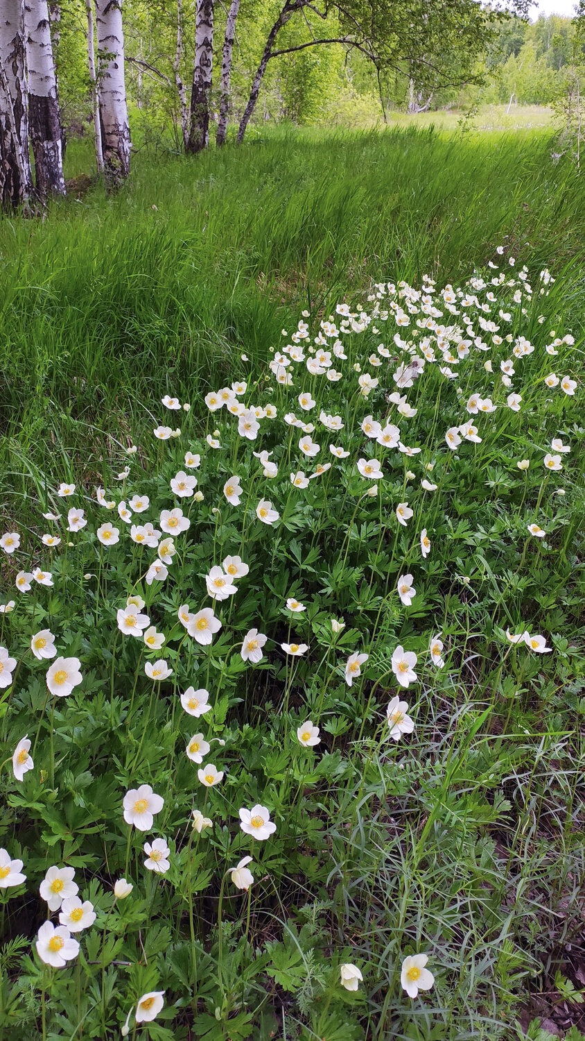 Photo #13903840