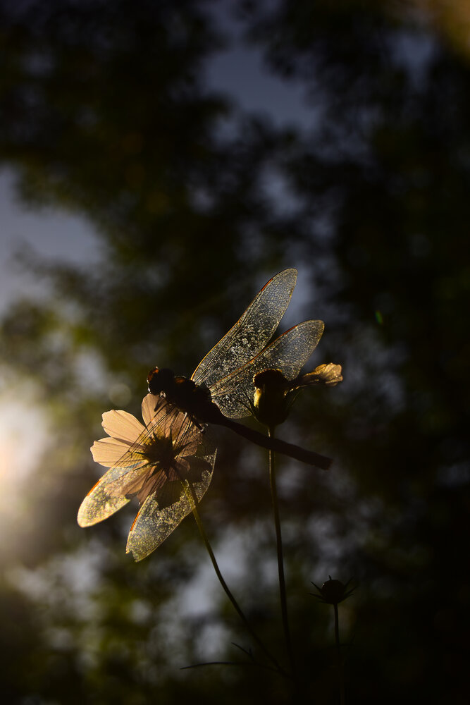 Photograph by Ольга Рыкова