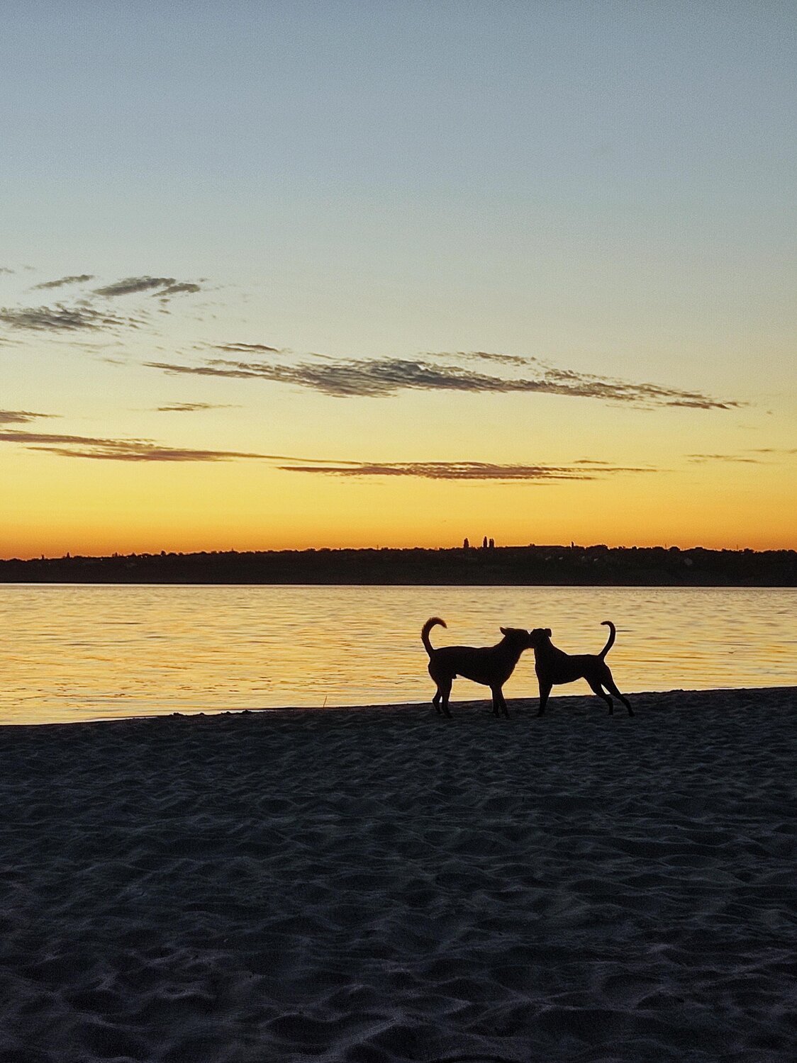 Photo #13903856