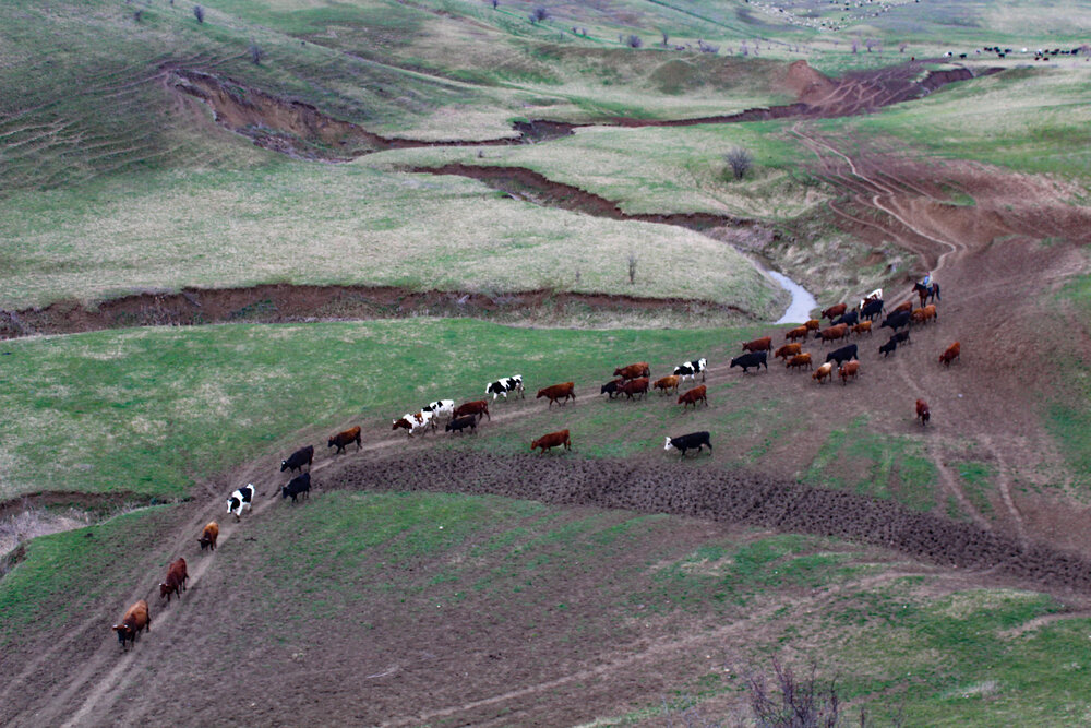 Photograph by Инна Майорова