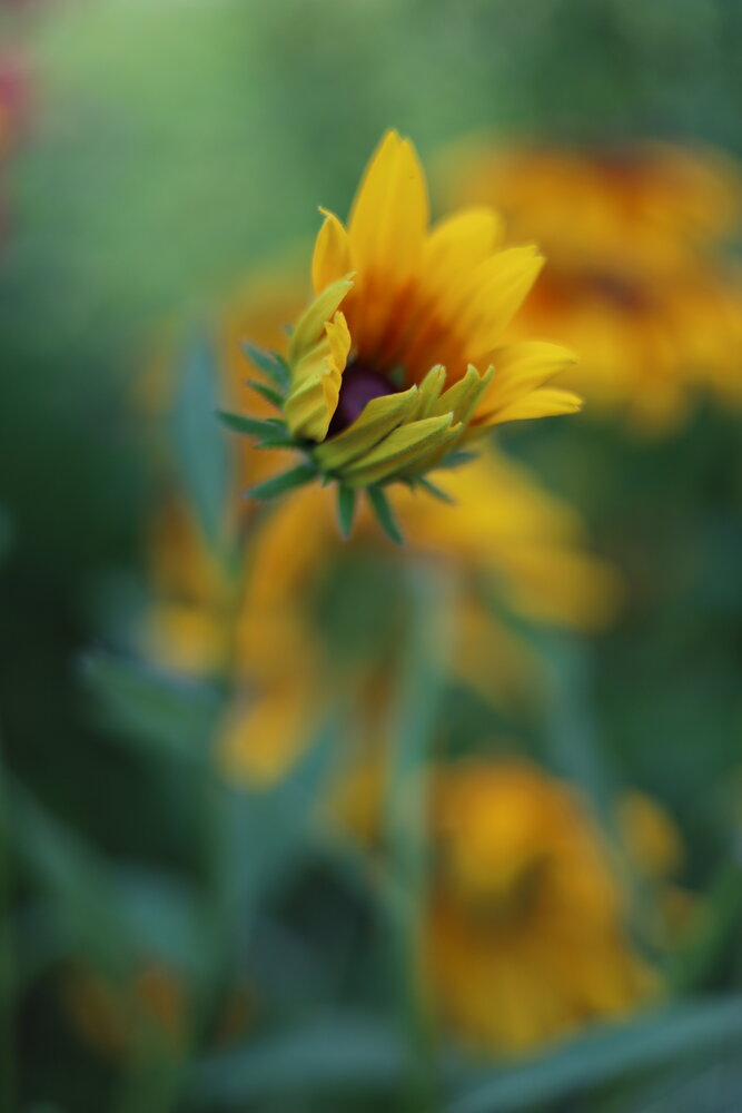 Photograph by Гульшат Халбуп
