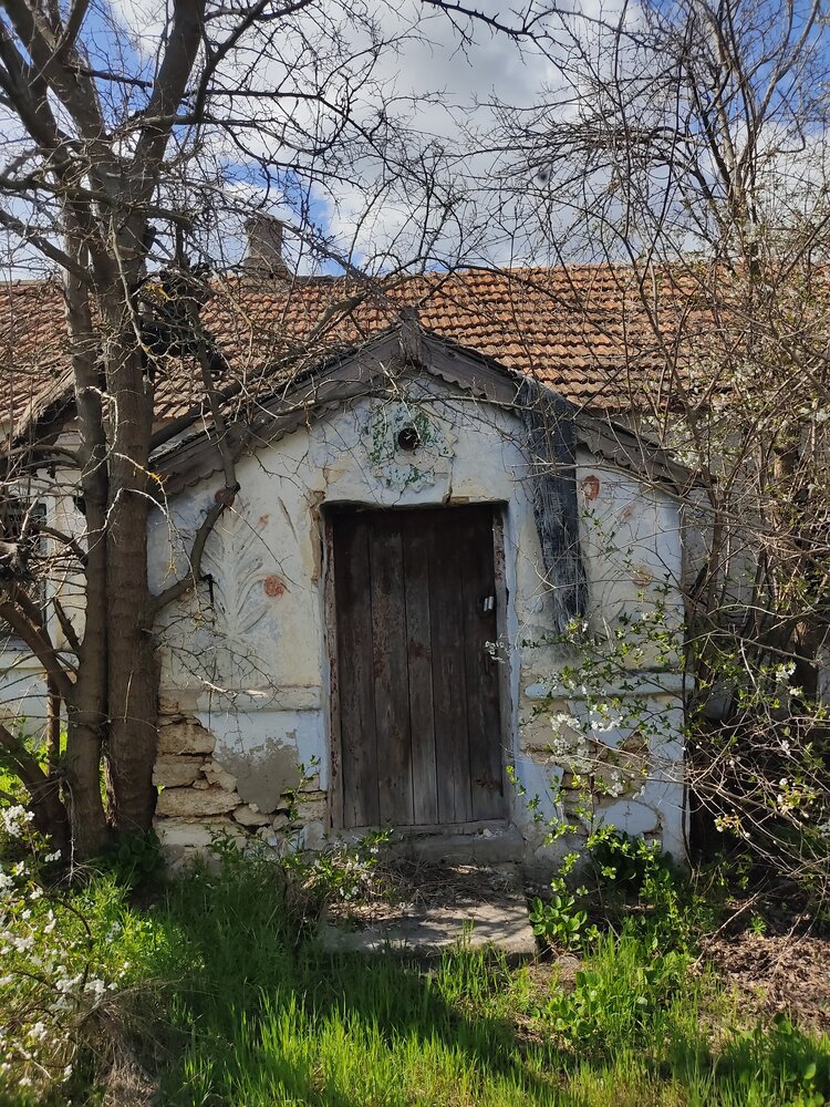 Фотография автора Инга Шевелёва
